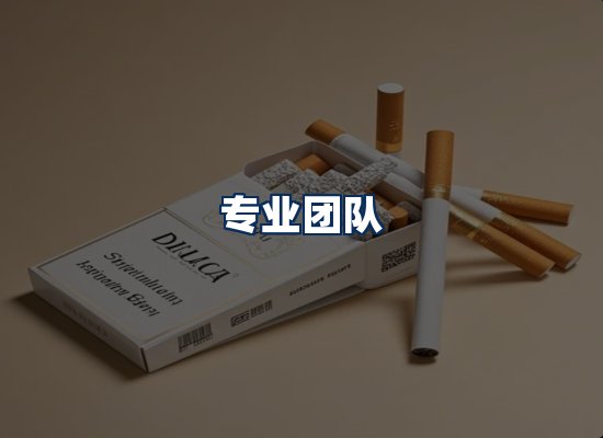 专业团队